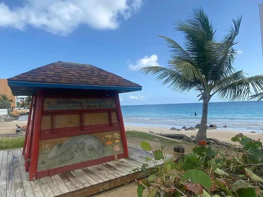 Apartment Dalia Lovers By Sea Rentals San Juan
